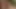 BBW-MILF mit riesigen Hupen fickt großen schwarzen Schwanz