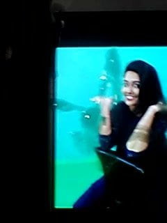 abinaya thanthi tv cum