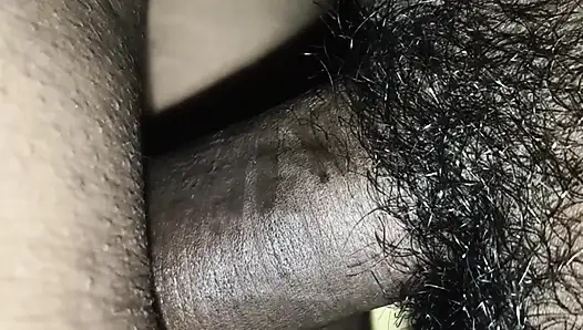 Бенгальская бабхи-траха Dasi Anil