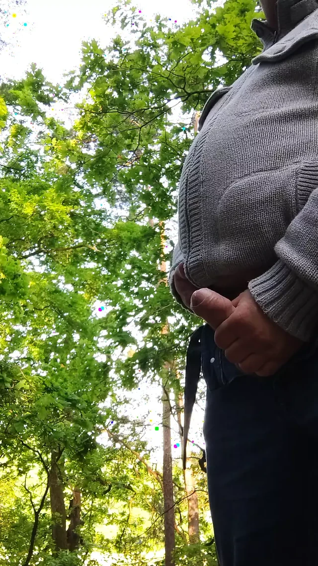 Public Wank in the Woods