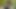فتاة يابانية صغيرة وخجولة يتم قذف المني داخلها