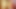 Camgirl mit Dildo und Bierflasche