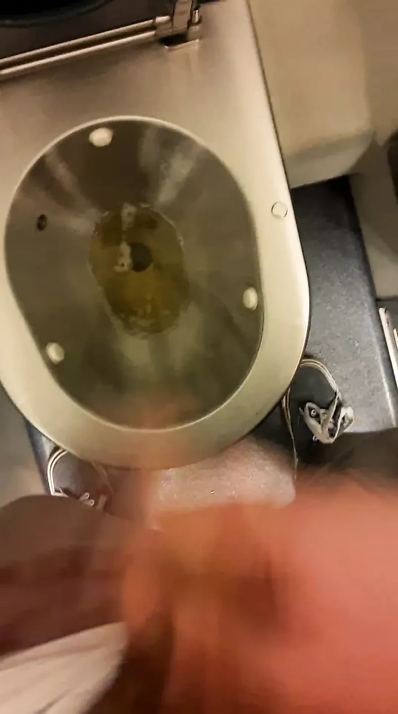Nemačka tinejdžerka drka i piša u vozu