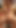 Exklusive Blowjob Compilation mit Abelia, Angelica Heart, Carla Pons & Stacy Silver