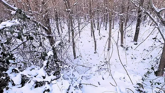 Полностью обнаженный БДСМ в снегу