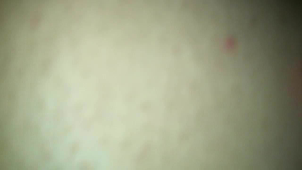tremendo anal