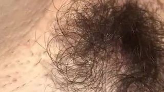 Hairy pussy