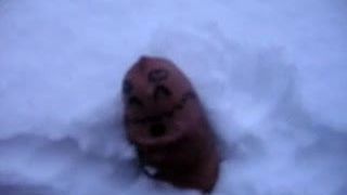 Cock in snow 1