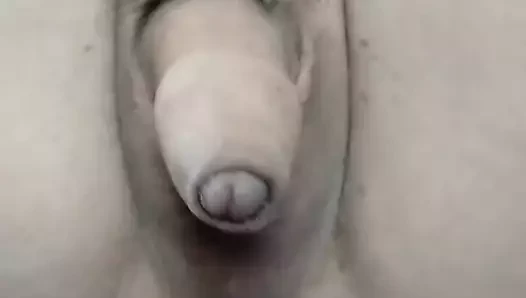 Long foreskin cock