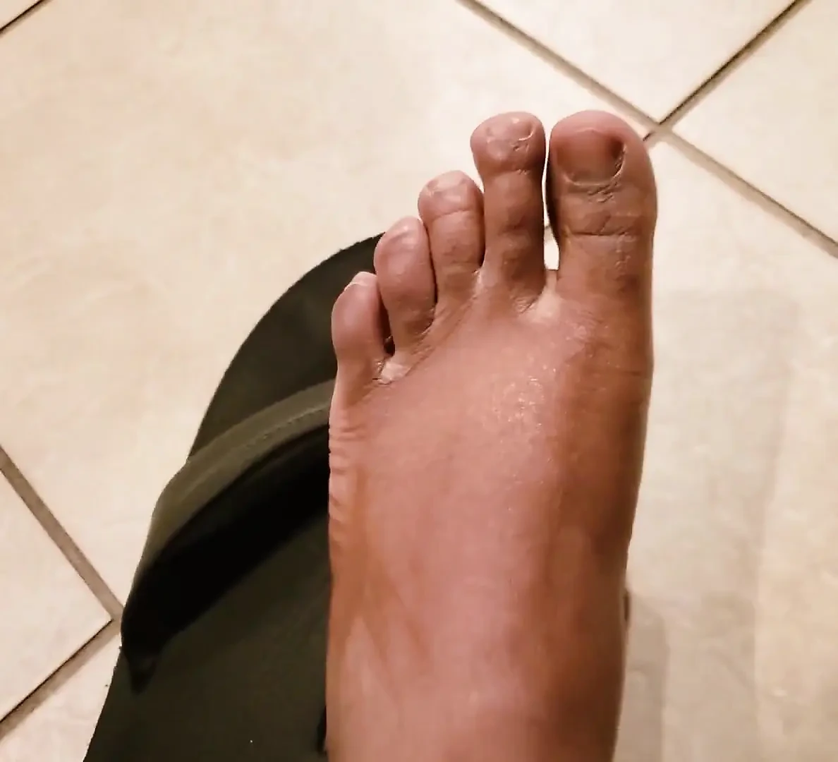 与黑熊的恋足癖