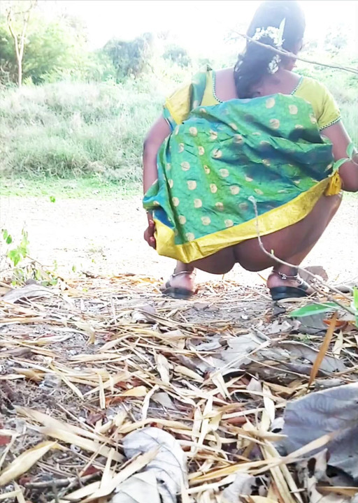 דיפא משתינה , דיפא פונדיצ'רי