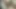 Pompalama çük içinde bir kıllı milf kedi