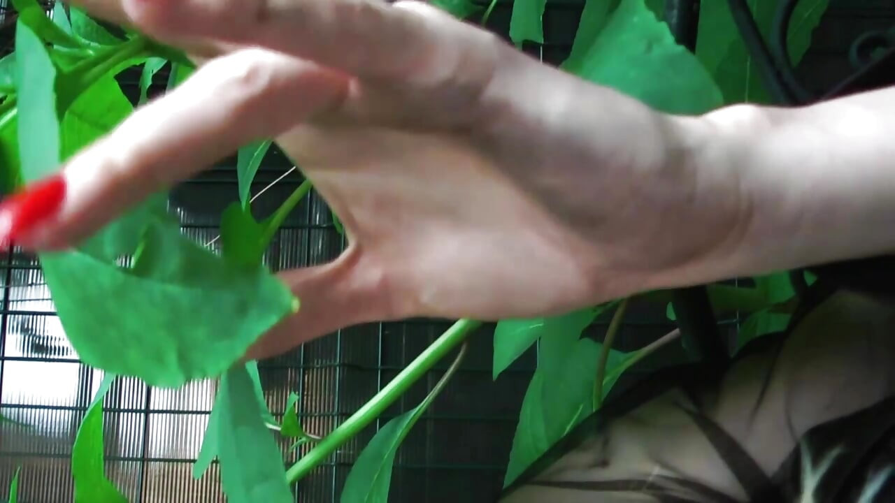 Abraza tu lado sumiso