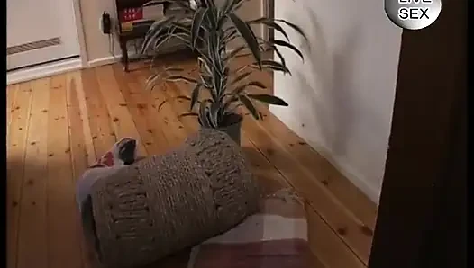 Brünette hure gefingert und gefickt, bevor das sperma auf ihre kleinen titten fallen ließ
