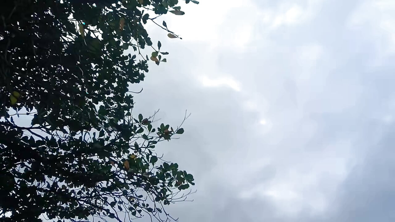 Big Dick Beach Goddess: Public Cum & Piss Outdoors Exhibition