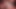 Endless Clit Teasing, Pleasing Until Collapse : Part.1