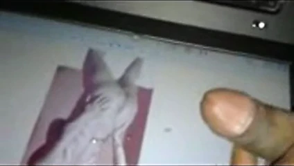 haraç