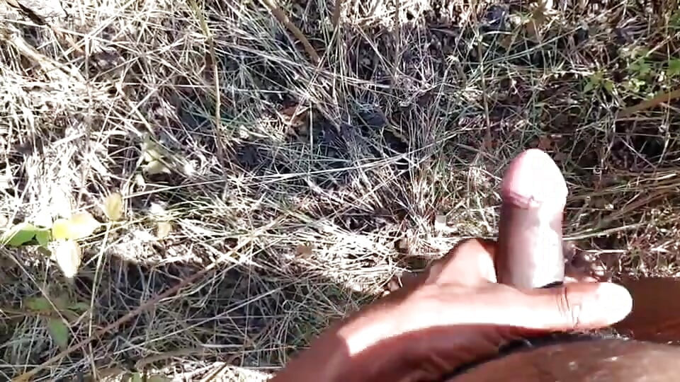 Desi indischer sex-dschungel ficken xxx video