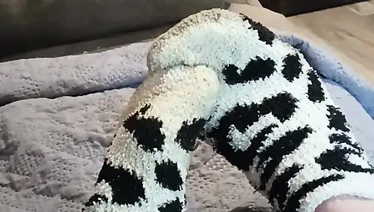 Quit, meine socken zu stehlen,