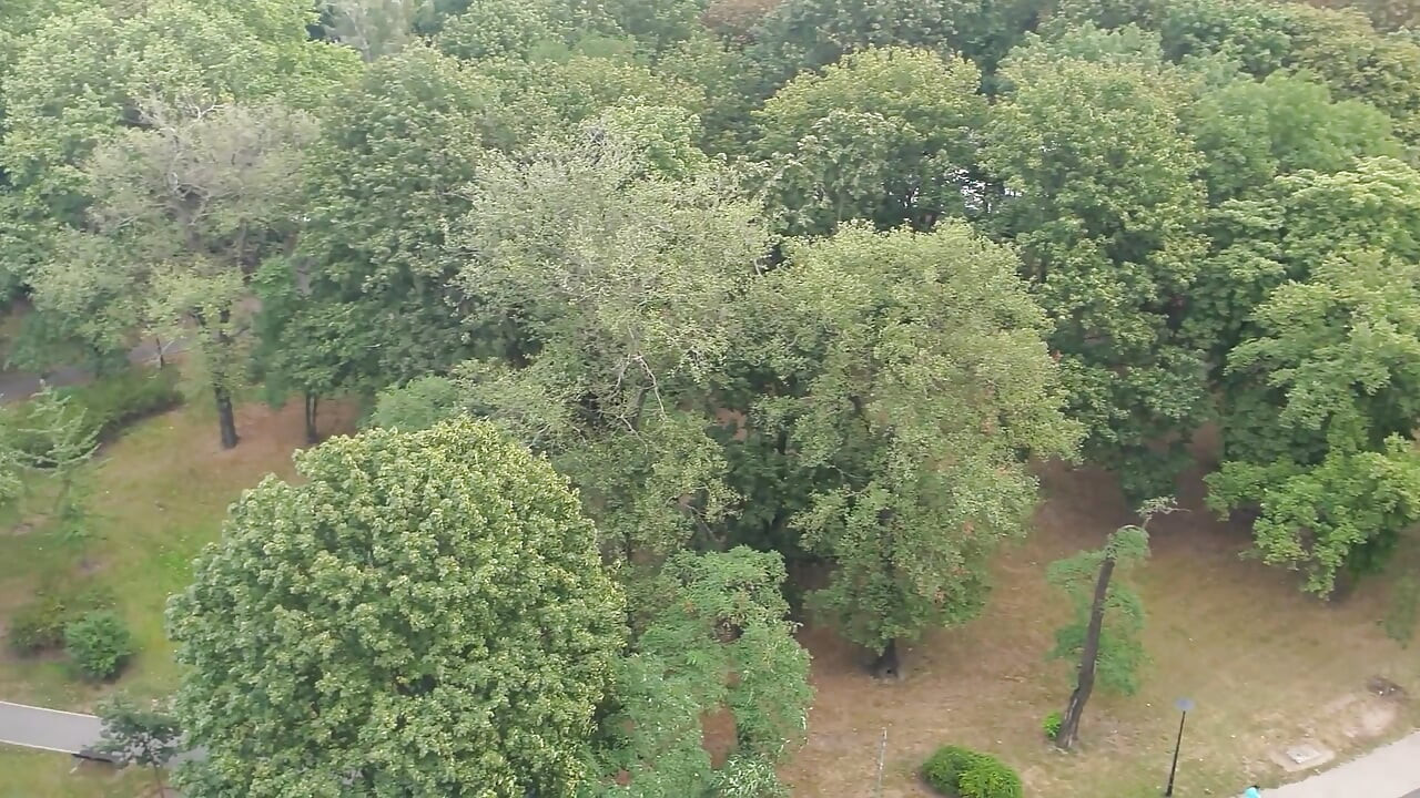 ماجراجویی لزبین روی بالکن
