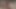 Iki büyük göt latina babes becerdin içinde the orman