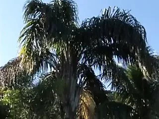 Surprise I Have A Dick Transen in Aktion.avi