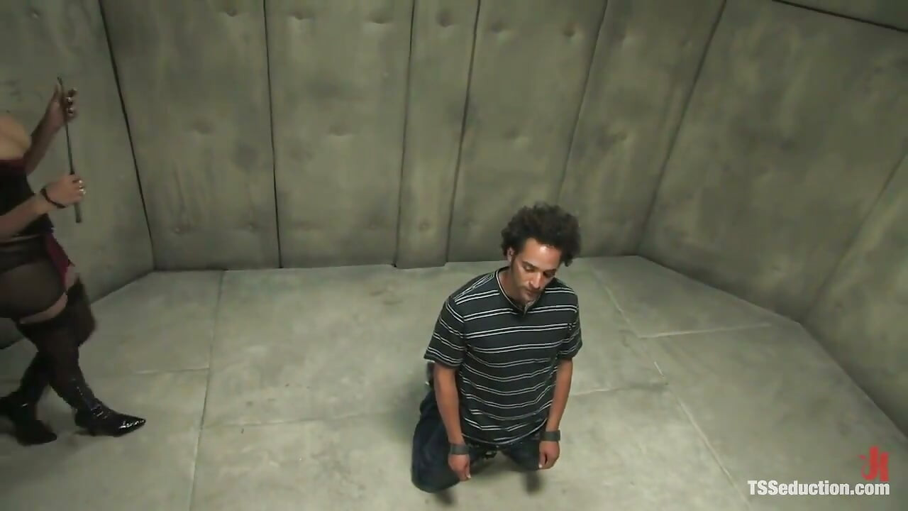 The Interrogation