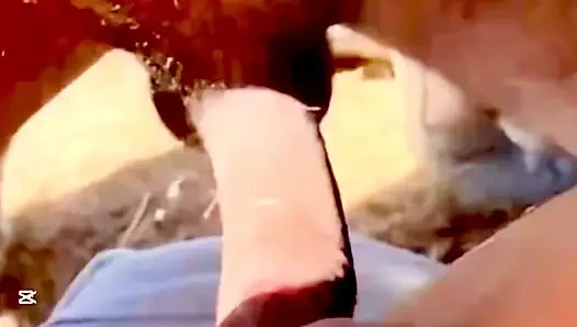 Clz yan nathuwa eha gedara akki ekka kale panala hodata hikawa