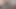 Plajda bir gün tera için kedi içinde bir bbc dönüşüyor