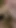Amateur BBW Milf Cand!d Sandra sucks dick on home video as she slobs on a throbbing cock | Clip 1