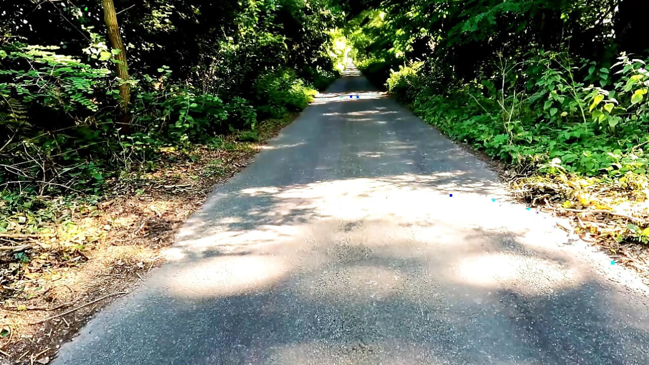 Crossdresser Kellycd2022 down the lanes masturbating