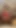 Yeni kıyafet. Azgın ev ve snap filtreler!