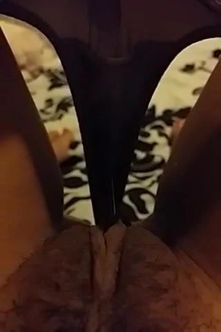 pussy