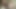 25 Year Old Guy CUMS In My Pussy
