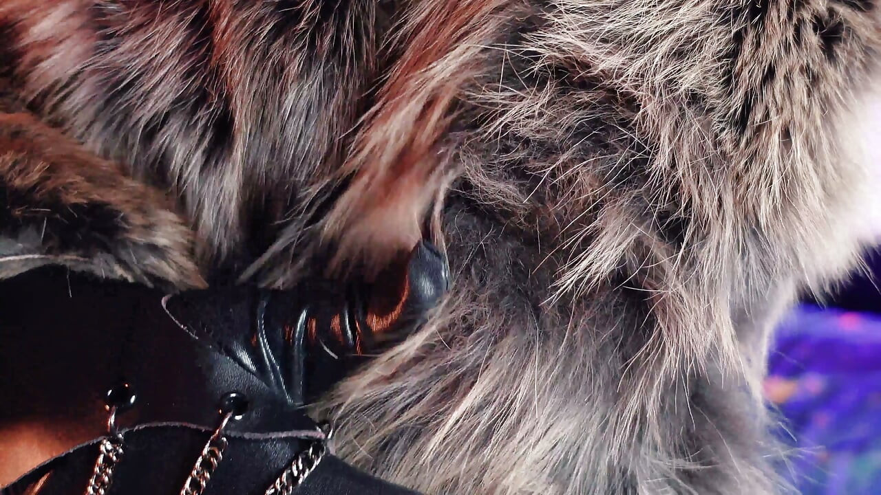 FUR FETISH video: beautiful Mistress tease and seduce. ASMR and JOI. Arya Grander.