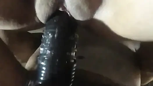 Ngentot gaya doggy sama istriku yang basah kuyup dan memeknya yang aduhai