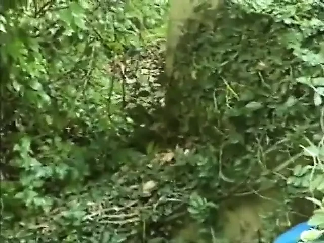 Blonde laid outside gets pussy finger fucked by guy