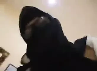 hijab kahba