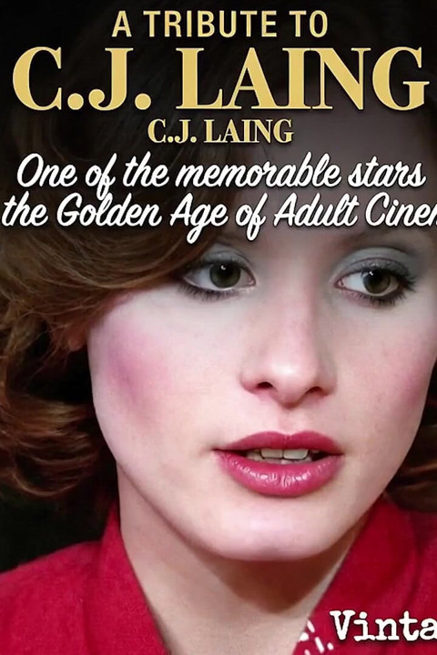 The Mysterious Stranger a Tribute to C.j. Laing