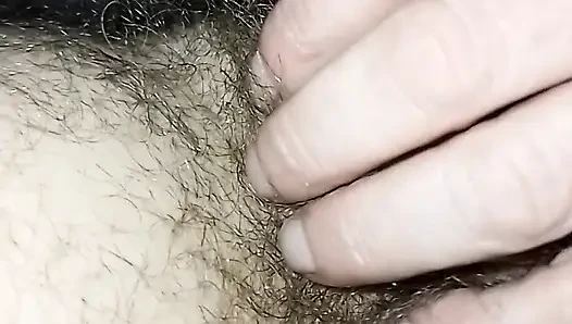 Daha Yeni Başlıyor