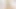 Solo cock teaser, Margot Hairy is masturbating, in VR