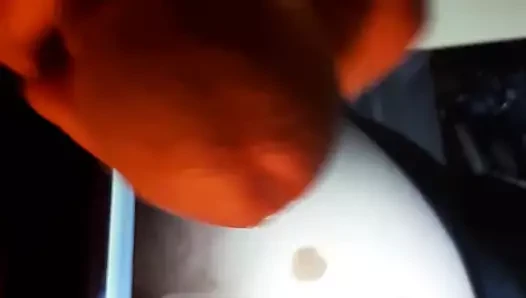 Sophiaboobtribute