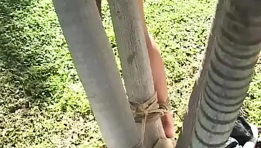 Cabo: Weekend Nightmare Part 2