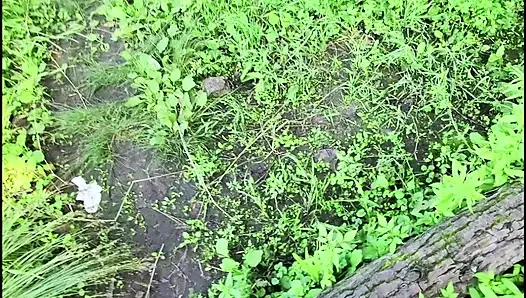 First-person Blowjob. Feel Like a Cocksucker!