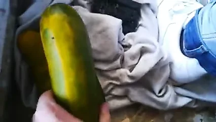Geile Arschfotzen