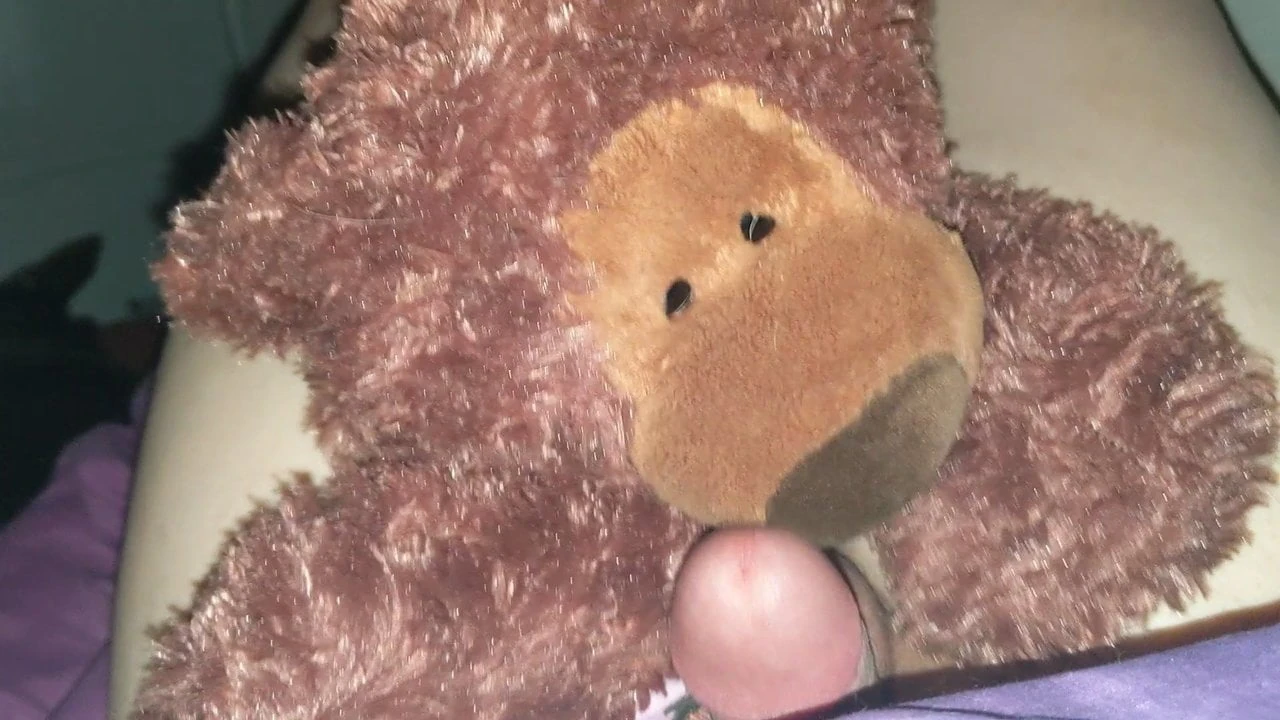 Une trans baise un ours en nounours