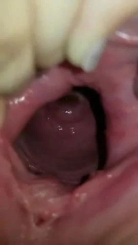inside pussy