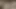Private.com - seksi leria bir yarak sağıyor ve yüz bakımı alıyor!
