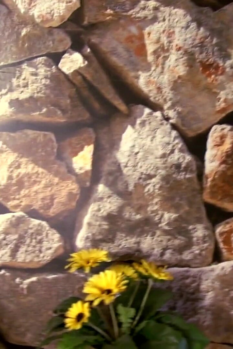 Horny redhead chick gets a warm load on her natural tits