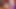 NEON DREAMS – DAPHNE & VELMA SPECIAL